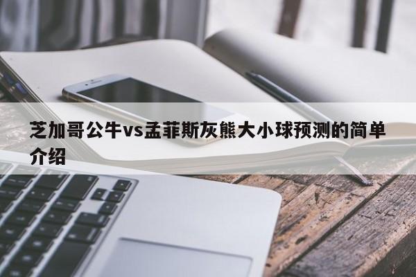 芝加哥公牛vs孟菲斯灰熊大小球预测的简单介绍